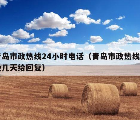 青岛市政热线24小时电话（青岛市政热线一般几天给回复） 第1张