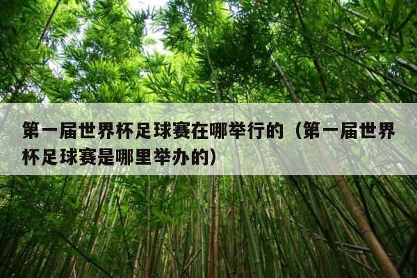 第一届世界杯足球赛在哪举行的（第一届世界杯足球赛是哪里举办的） 第1张