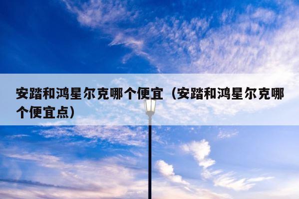 安踏和鸿星尔克哪个便宜（安踏和鸿星尔克哪个便宜点） 第1张