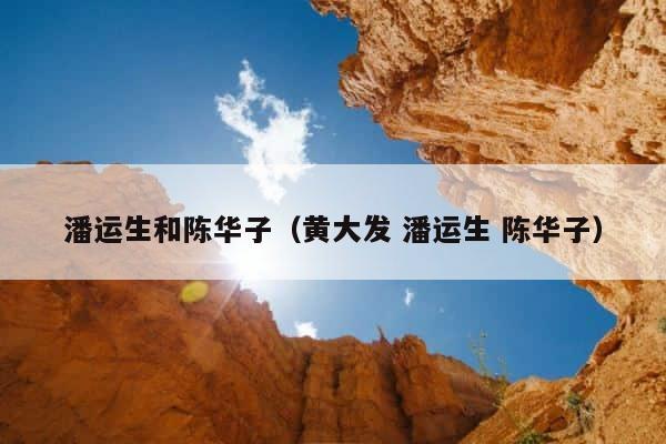 潘运生和陈华子（黄大发 潘运生 陈华子） 第1张