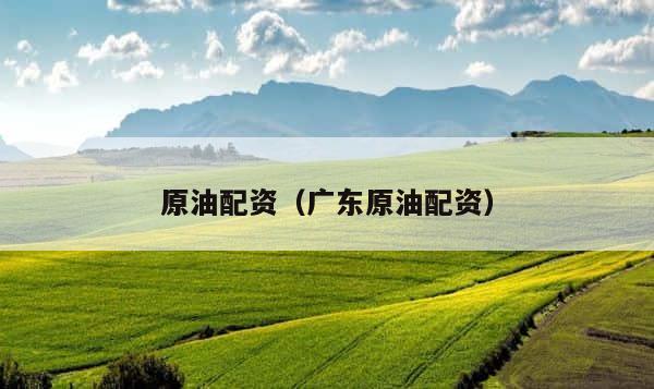 原油配资（广东原油配资） 第1张