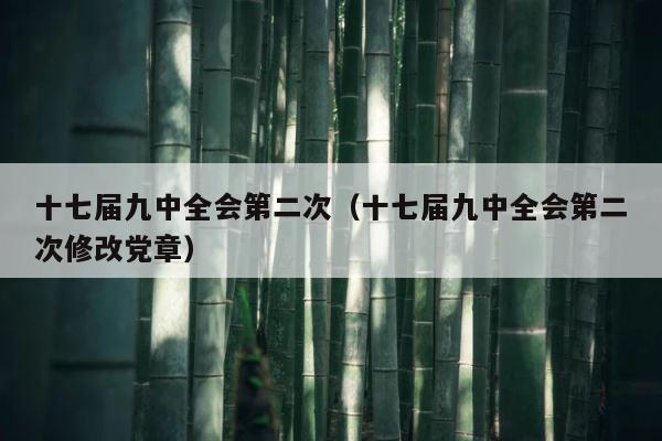 十七届九中全会第二次（十七届九中全会第二次修改党章） 第1张