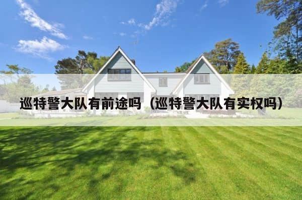巡特警大队有前途吗（巡特警大队有实权吗） 第1张
