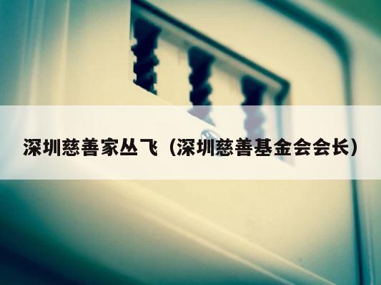深圳慈善家丛飞（深圳慈善基金会会长） 第1张
