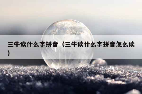 三牛读什么字拼音（三牛读什么字拼音怎么读） 第1张