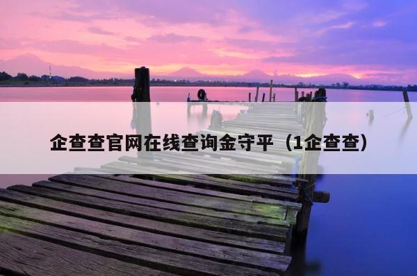 企查查官网在线查询金守平（1企查查） 第1张