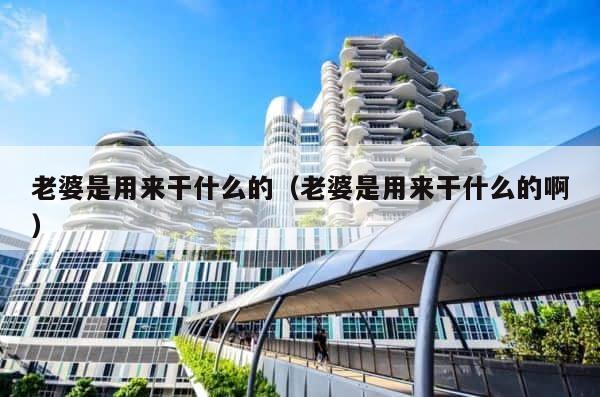老婆是用来干什么的（老婆是用来干什么的啊） 第1张