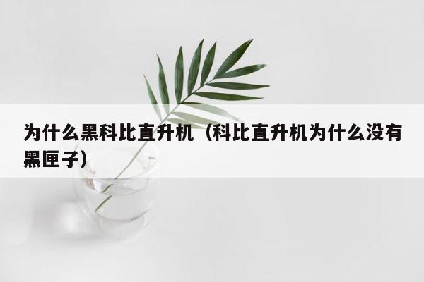 为什么黑科比直升机（科比直升机为什么没有黑匣子） 第1张