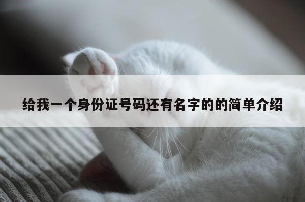 给我一个身份证号码还有名字的的简单介绍 第1张