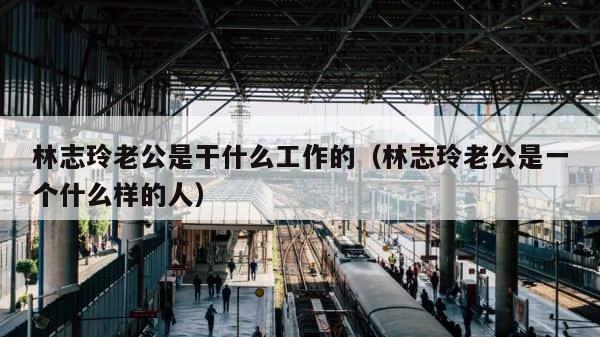 林志玲老公是干什么工作的（林志玲老公是一个什么样的人） 第1张