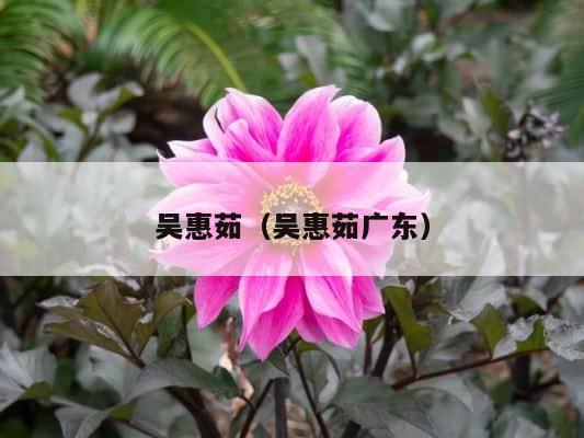 吴惠茹（吴惠茹广东） 第1张