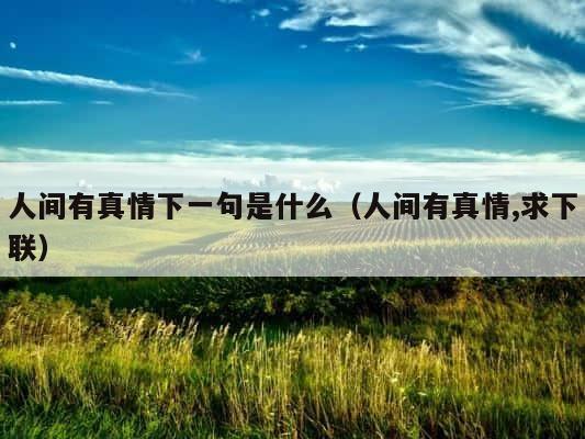 人间有真情下一句是什么（人间有真情,求下联） 第1张