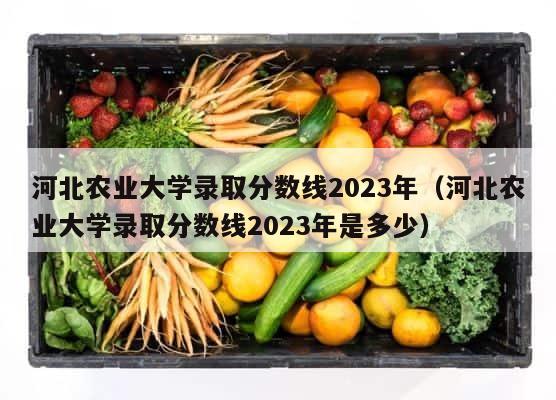 河北农业大学录取分数线2023年（河北农业大学录取分数线2023年是多少） 第1张