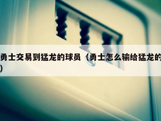 勇士交易到猛龙的球员（勇士怎么输给猛龙的） 第1张