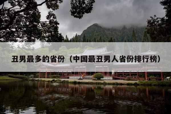 丑男最多的省份（中国最丑男人省份排行榜） 第1张