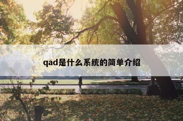 qad是什么系统的简单介绍 第1张