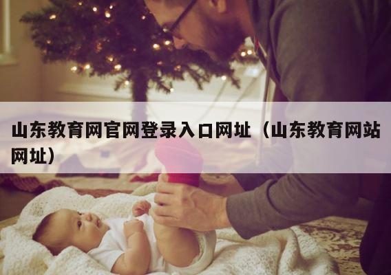山东教育网官网登录入口网址（山东教育网站网址） 第1张