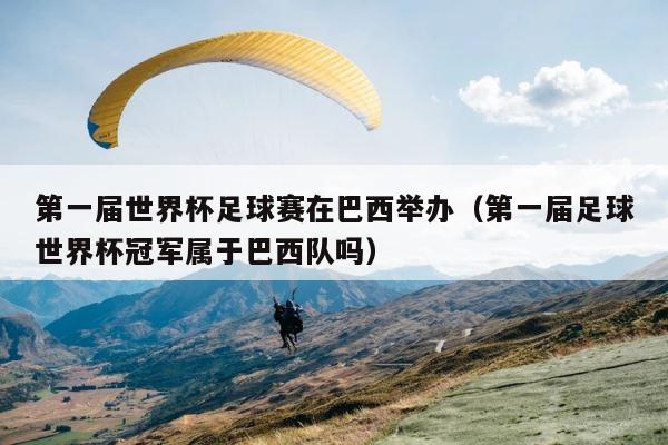 第一届世界杯足球赛在巴西举办（第一届足球世界杯冠军属于巴西队吗） 第1张
