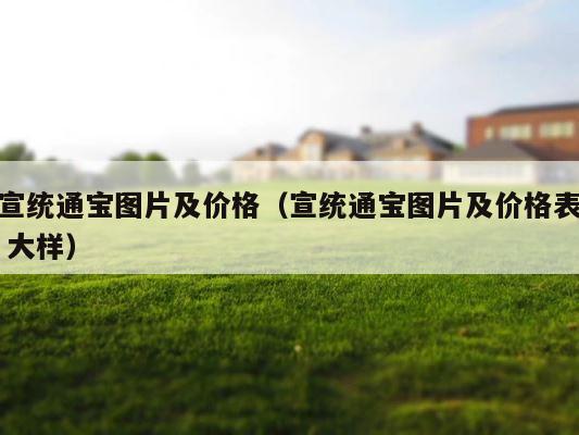 宣统通宝图片及价格（宣统通宝图片及价格表 大样） 第1张