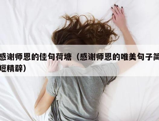 感谢师恩的佳句荷塘（感谢师恩的唯美句子简短精辟） 第1张
