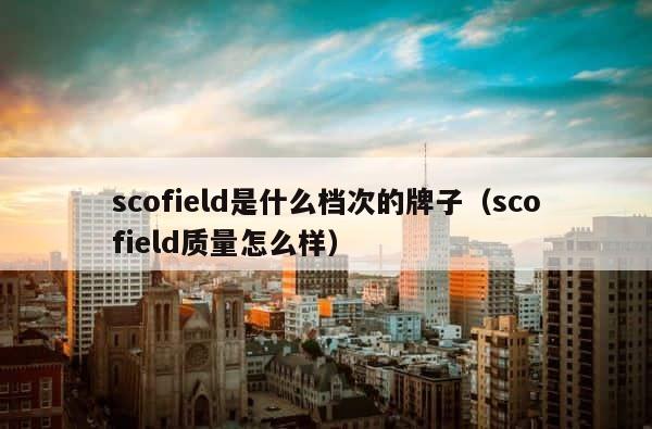 scofield是什么档次的牌子（scofield质量怎么样） 第1张