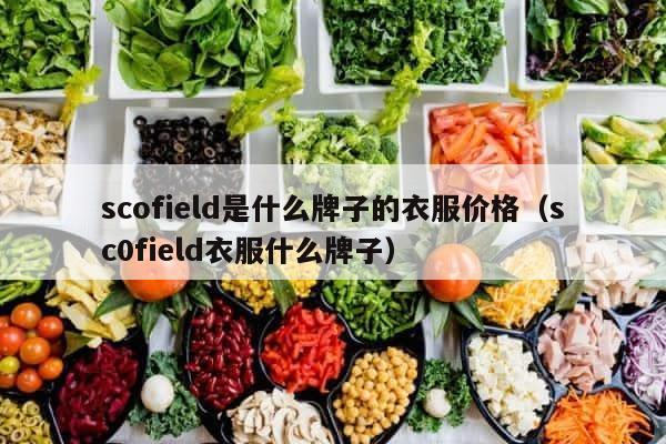 scofield是什么牌子的衣服价格（sc0field衣服什么牌子） 第1张