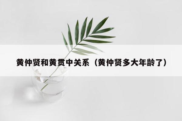 黄仲贤和黄贯中关系（黄仲贤多大年龄了） 第1张