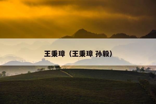 王秉璋（王秉璋 孙毅） 第1张