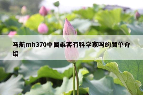马航mh370中国乘客有科学家吗的简单介绍 第1张