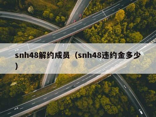 snh48解约成员（snh48违约金多少） 第1张