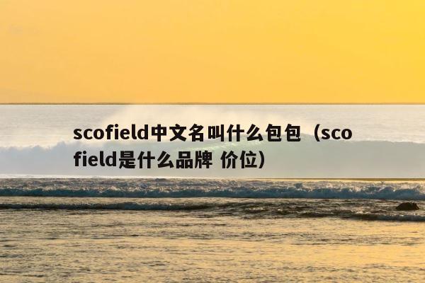 scofield中文名叫什么包包（scofield是什么品牌 价位） 第1张