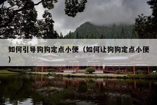 如何引导狗狗定点小便（如何让狗狗定点小便） 第1张
