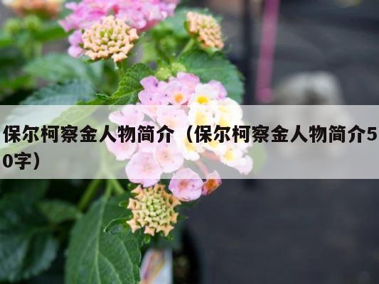 保尔柯察金人物简介（保尔柯察金人物简介50字） 第1张