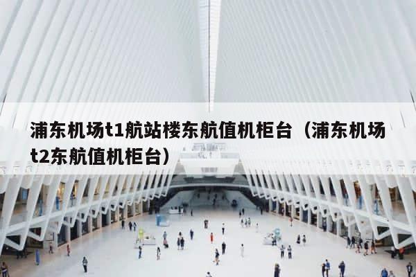 浦东机场t1航站楼东航值机柜台（浦东机场t2东航值机柜台） 第1张