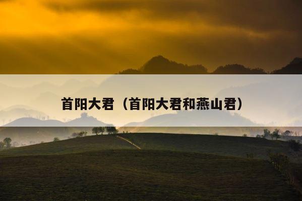 首阳大君（首阳大君和燕山君） 第1张