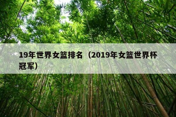 19年世界女篮排名（2019年女篮世界杯冠军） 第1张