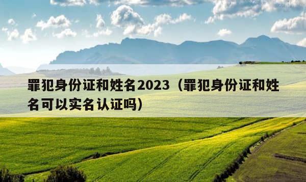 罪犯身份证和姓名2023（罪犯身份证和姓名可以实名认证吗） 第1张