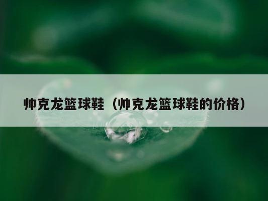 帅克龙篮球鞋（帅克龙篮球鞋的价格） 第1张