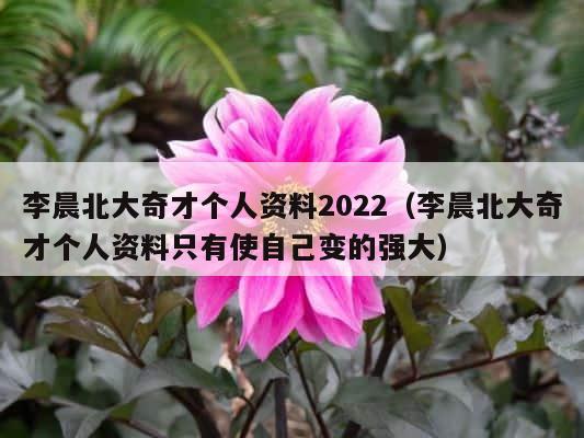 李晨北大奇才个人资料2022（李晨北大奇才个人资料只有使自己变的强大） 第1张