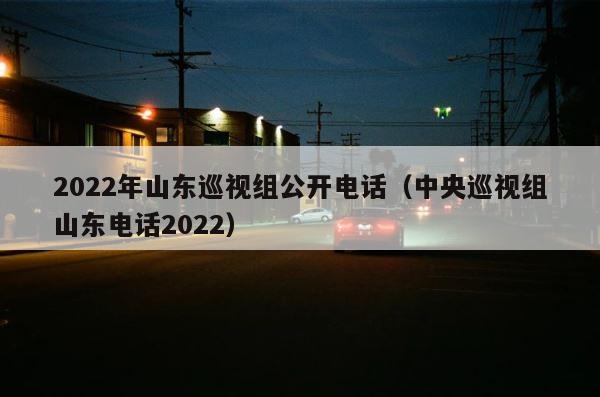 2022年山东巡视组公开电话（中央巡视组山东电话2022） 第1张