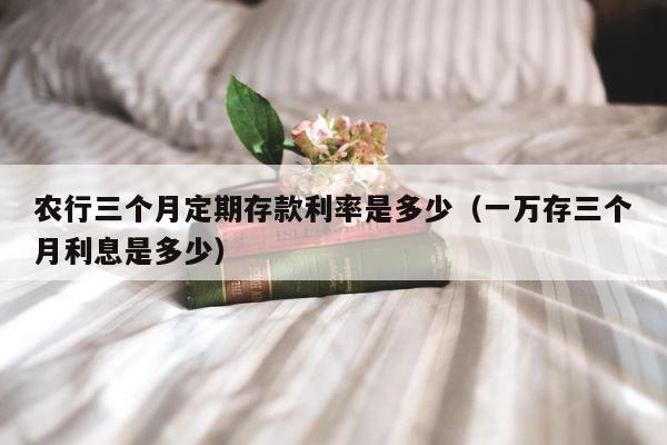 农行三个月定期存款利率是多少（一万存三个月利息是多少） 第1张