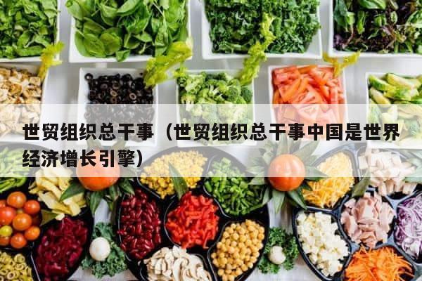 世贸组织总干事（世贸组织总干事中国是世界经济增长引擎） 第1张