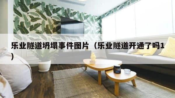 乐业隧道坍塌事件图片（乐业隧道开通了吗1） 第1张