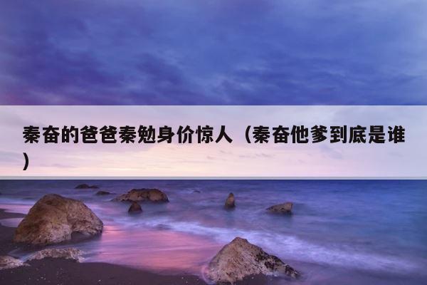 秦奋的爸爸秦勉身价惊人（秦奋他爹到底是谁） 第1张