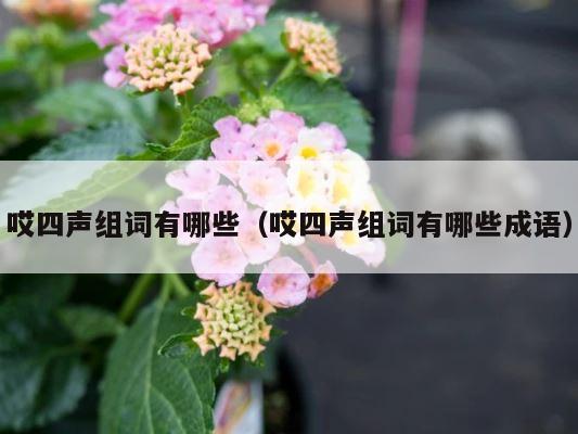 哎四声组词有哪些（哎四声组词有哪些成语） 第1张