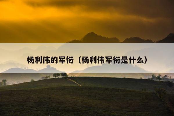 杨利伟的军衔（杨利伟军衔是什么） 第1张