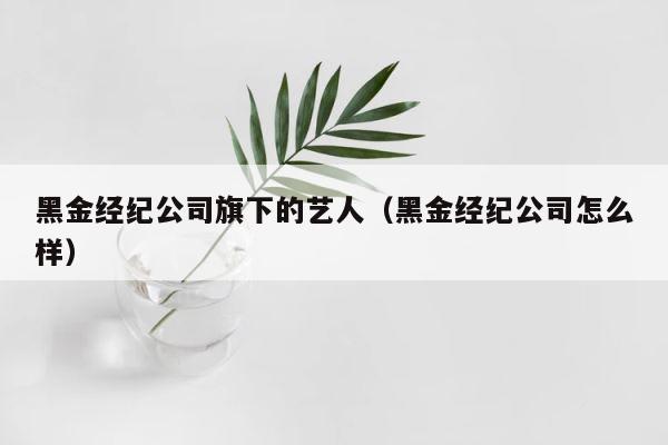 黑金经纪公司旗下的艺人（黑金经纪公司怎么样） 第1张