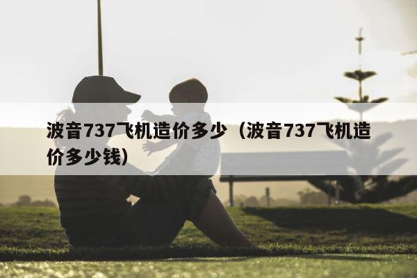 波音737飞机造价多少（波音737飞机造价多少钱） 第1张