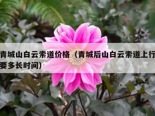 青城山白云索道价格（青城后山白云索道上行要多长时间） 第1张