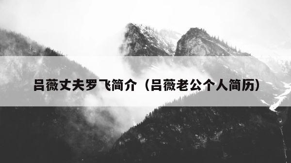 吕薇丈夫罗飞简介（吕薇老公个人简历） 第1张